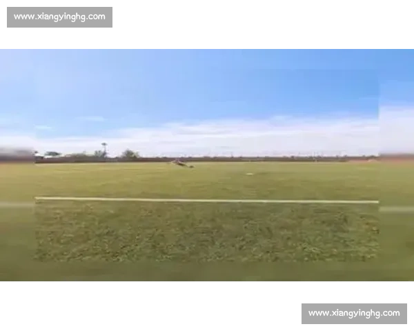 门将视角教学：快速提升扑救技巧的实用视频